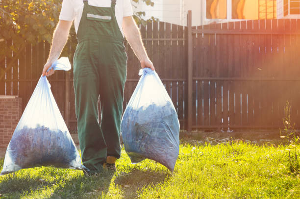 Best Electronics Removal Services  in Mishawaka, IN